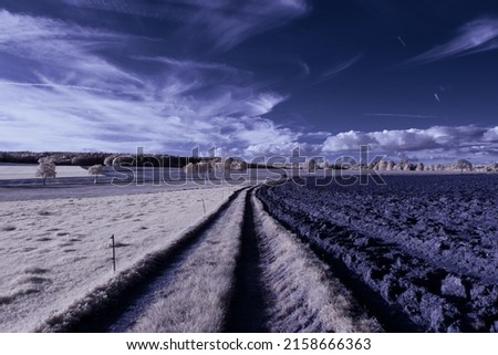 A scenic view of an agricultural  field with trees under the blue sky - infrared photography