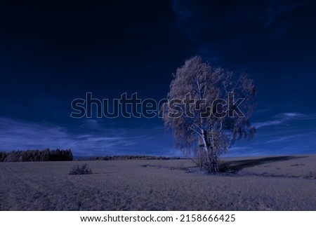 A scenic view of an agricultural field and trees under the blue sky - infrared photography