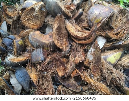 Coconut coir shell that has been peeled