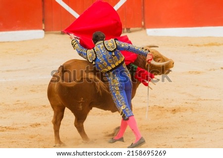Bullfighters in suit of lights in the arena working Royalty-Free Stock Photo #2158695269