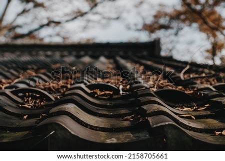 A tile roof with dry autumnal leaves
