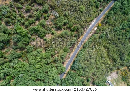 Aerial view of a road through a holm oak forest, zenithal shot