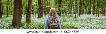 Woman with backpack hiking in forest at springtime. Woodland with flowering wild garlic. Adventure in beautiful nature. Panoramic view Royalty-Free Stock Photo #2158746539