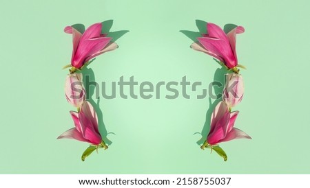 Creative spring layout made of pink tulips and magnolia flowers on pastel mint background. Minimal spring concept. Creative spring idea. Flowers frame. Flat lay. 8k photography. Floral wallpaper.