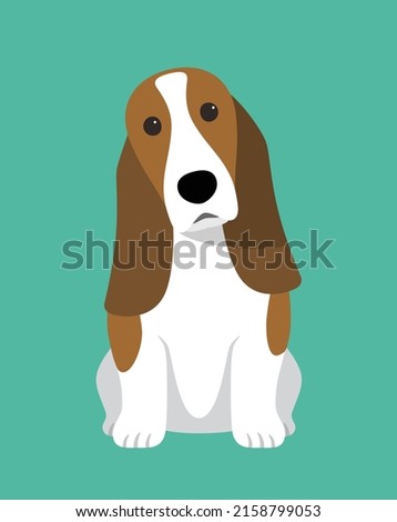 Basset Hound dog is sitting waiting for the master's order