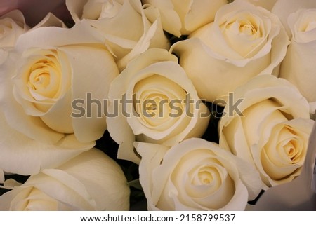 Beautiful cheerful roses in full bloom as a gift for someone special.