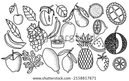 doodle hand drawn collection of fruits. vector illustration