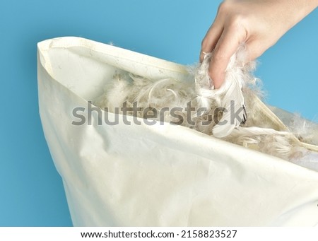 Woman pours bird feathers into a pillow. Feather pillow stuffing Royalty-Free Stock Photo #2158823527