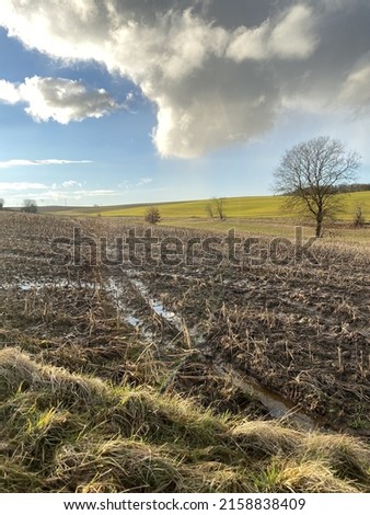 A vertical shot of a field in the countryside under the fluffy white clouds