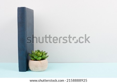 Cactus in a pot on a blue and grey background, minimalistic decoration, plant stands beside a book at the desk, copy space for text, modern home