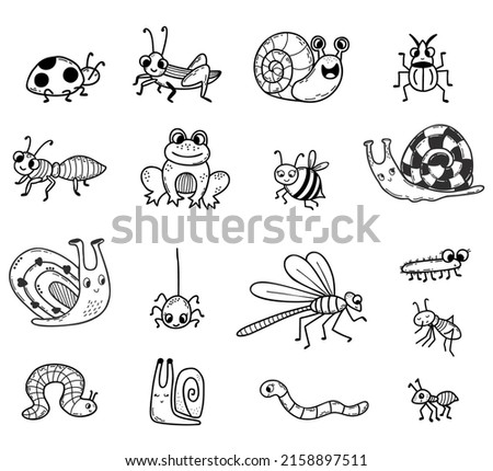 Vector Collection of cute insects. Linear hand drawn doodle. Isolated decorative characters frog, snail, beetles and spider, dragonfly and bee, ladybug and mosquito for design, decor, decoration.
