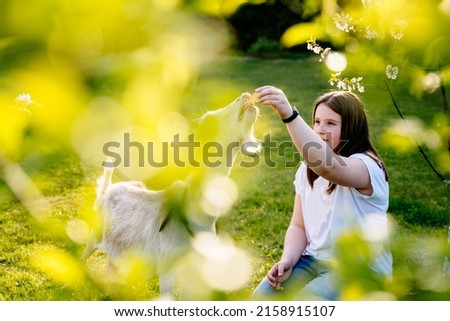 Beautiful picture of young happy teenager girl with white goat outdoor in natural eco farm. Animal care livestock ecological farming concept. Sunset sunlight.