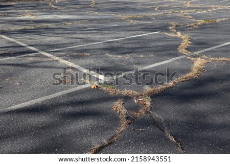 Weeds Growing in Large Abandoned Factory Parking Lot Royalty-Free Stock Photo #2158943551