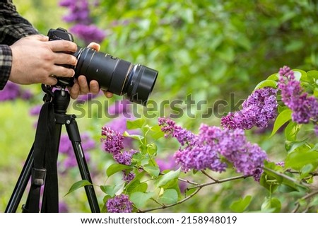 A male taking pictures of lilac flowers in Csacsi arboretum in Zalaegerszeg, Hungary
