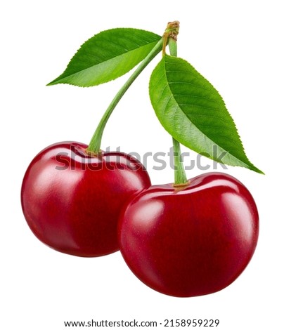 Cherry isolated. Two cherries with leaf on white background. Sour cherri on white. With clipping path. Full depth of field. Royalty-Free Stock Photo #2158959229