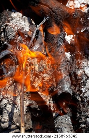 orange flame of fire while burning branches and firewood, burning wood and firewood in nature while cooking barbecue food, out of focus