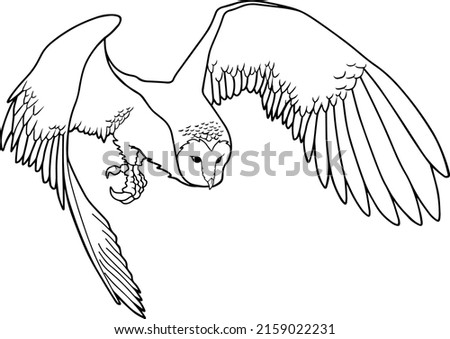 flying owl line vector illustration isolated on white background