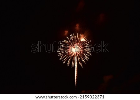 picture of fireworks at a party on a black background