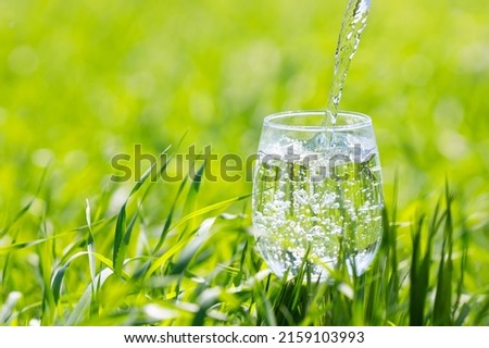 drinking water pouring into glass on green background outdoors
