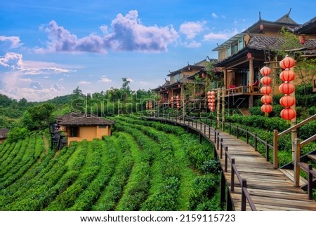 Old chinese style house in tea plantation at Ban Rak Thai the village is surrounded by mountain in Mae Hong Son, Thailand. A village of Chinese settlement is travel destination in Mae Hong Son Royalty-Free Stock Photo #2159115723