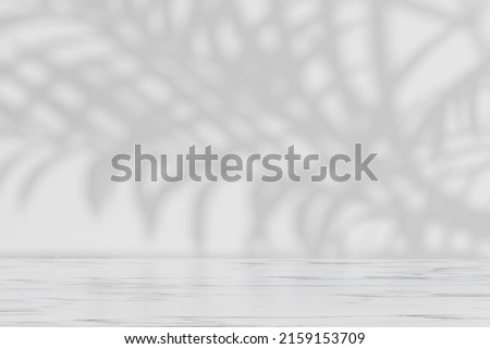 Palm leaf shadows on white wall and floor. Abstract background of shadows palm leaves for creative summer mock up. Neutral tropical palm mockup on light backdrop.