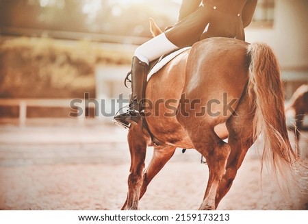  A beautiful sorrel horse with a long tail and a rider in the saddle rides on the sand in an outdoor arena on a sunny day. Horse riding. Equestrian sports. Dressage. Royalty-Free Stock Photo #2159173213
