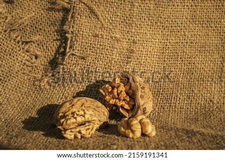 A closeup shot of opened walnuts on a background of burlap