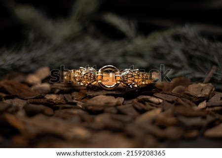 Concept Gold Bracelet Photo Shoot
