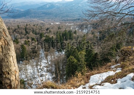 View of the coniferous forest, mountains and the tops of pine trees on the hillside.