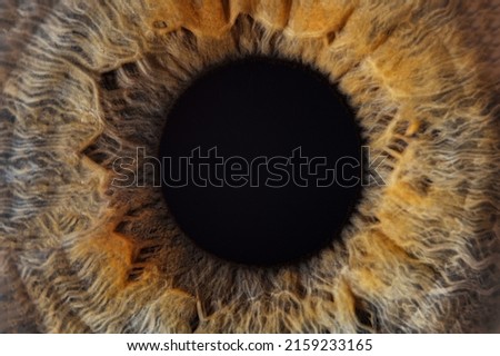 extreme blue eye macro shottexture background. Macro photo of human eye looking. close-up detail of green eye. Health concept in visual center. good vision and problems with eyes Royalty-Free Stock Photo #2159233165