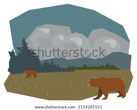 Wild bears vector  illustration isolated