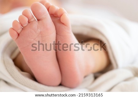 Small bare feet of a newborn covered with a cotton blanket. Daylight. Lifestyle. The concept of motherhood, childhood, parenthood, the first months of a baby's life, the delicate skin of a baby. Royalty-Free Stock Photo #2159313165