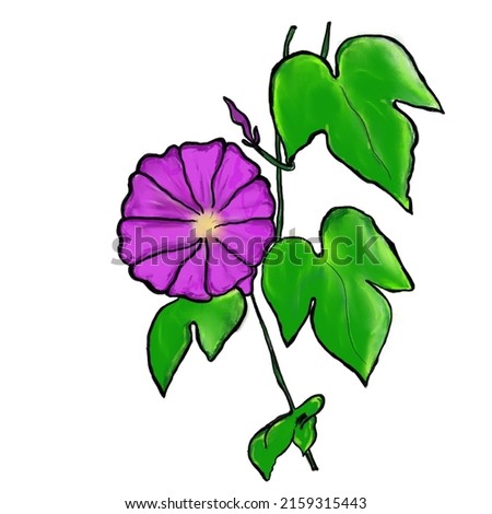 purple flower in a white background with green leaves