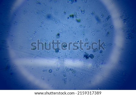 viruses and bacteria under the microscope Royalty-Free Stock Photo #2159317389