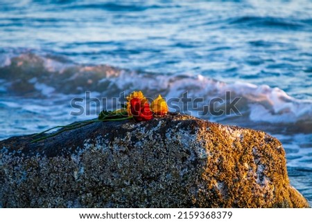 A bright summer day outdoors with a couple of vibrant flowers placed on top of a rock at a beach