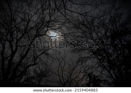 The full moon in cloudy sky seen through branches of trees at night. Selective focus