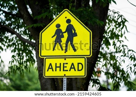  School Crosswalk Ahead Traffic Sign in a Road
