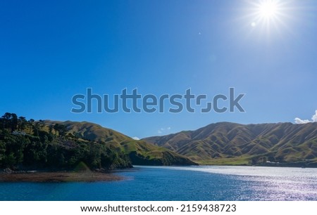Into sun the farming hills around a bay in Marlborough Sounds looks idyllic under blue sky from ferry entering Picton Port New Zealand.