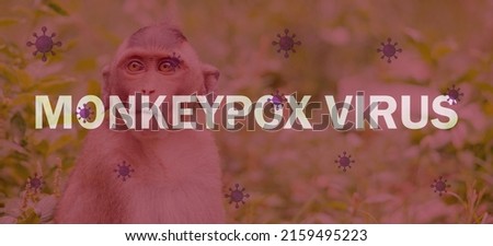 Monkeypox outbreak concept. Monkeypox is caused by monkeypox virus. Monkeypox is a viral zoonotic disease. Virus transmitted to humans from animals. Monkeys may harbor the virus and infect people. Royalty-Free Stock Photo #2159495223