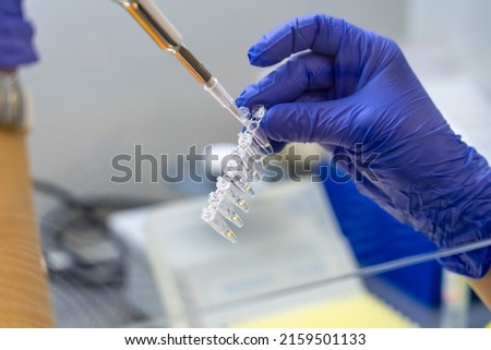 Scientist pipetting sample into vial for DNA testing. Scientist loads samples DNA monkeypox amplification by PCR into plastic strip tubes. Biochemistry specialist works with lab equipment Royalty-Free Stock Photo #2159501133