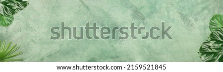 Tropical leaves on green grunge background with space for text. Banner for design