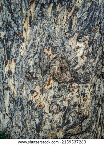 Rough wooden Texture  stock Photo