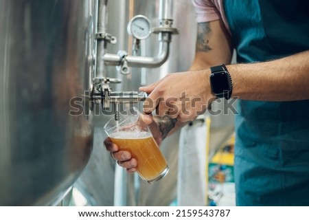 Portrait of a bearded man working in a brewery and checking quality of the craft beer. Brewery owner tasting beer from the best bach. Cropped shot of a man filling a glass of beer on a tap. Royalty-Free Stock Photo #2159543787