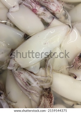 Frozen soft squid in a department store waiting to be sold.