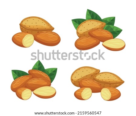 Set of fresh brown almonds in cartoon style. Vector illustration of nuts in large and small sizes with leaves, whole and cut, in shell on white background.