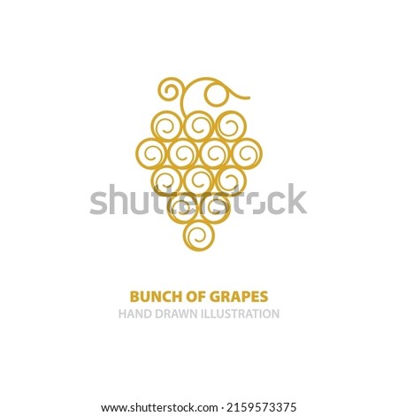 Bunch of grapes hand drawn vector illustration. Grape and vine drawing. Grape logo design. Part of set.
