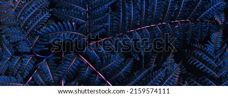 dark blue fern leaf background, toned process