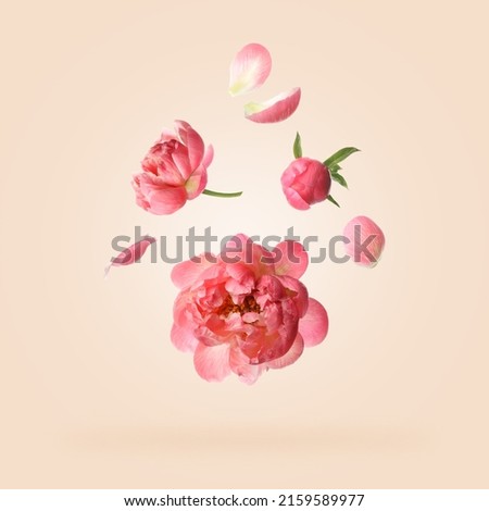 Beautiful peony flowers flying on pink background Royalty-Free Stock Photo #2159589977