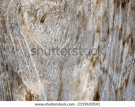 the texture of sheet Wood