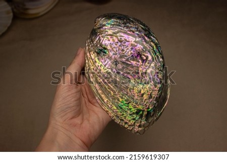 Iris Galiotis, the common name for the black-footed paua or rainbow abalone, is a species of edible sea snail and sea gastropod mollusc in the Haliotidae family. Green iridescent perdamage color. Royalty-Free Stock Photo #2159619307